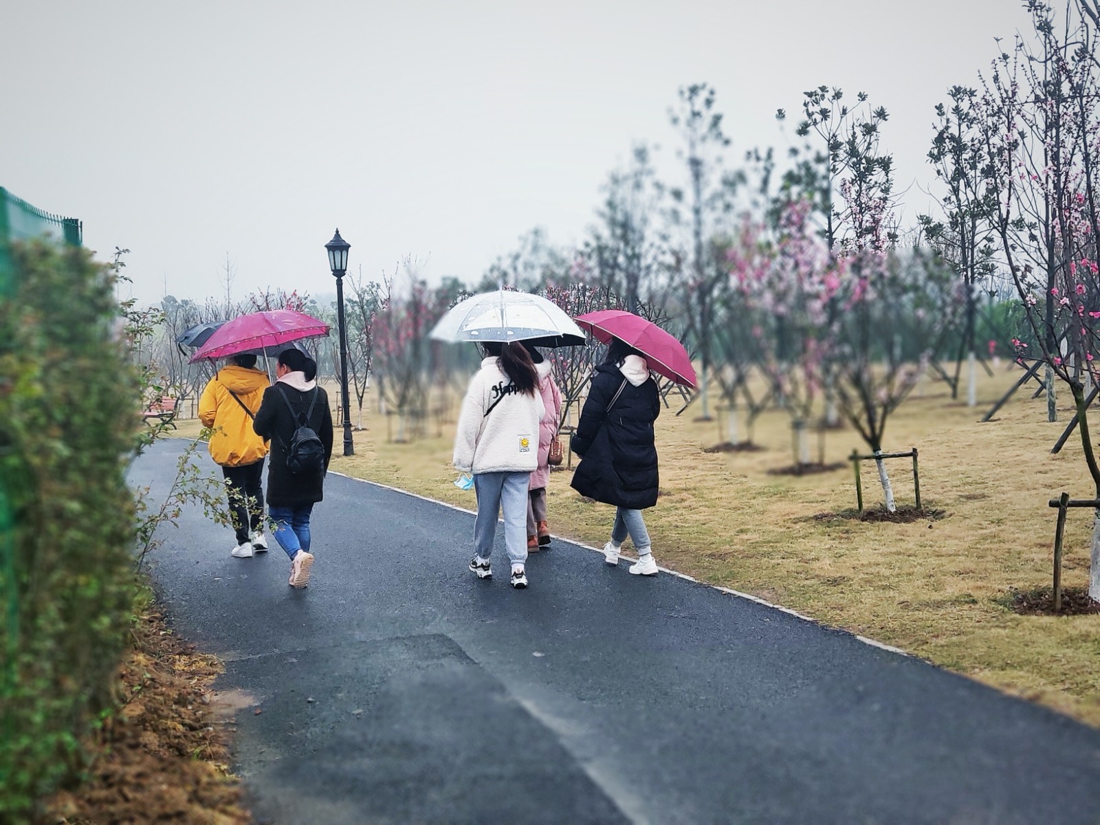 微信圖片_20210308172953.jpg 微信圖片_20210308172953.jpg